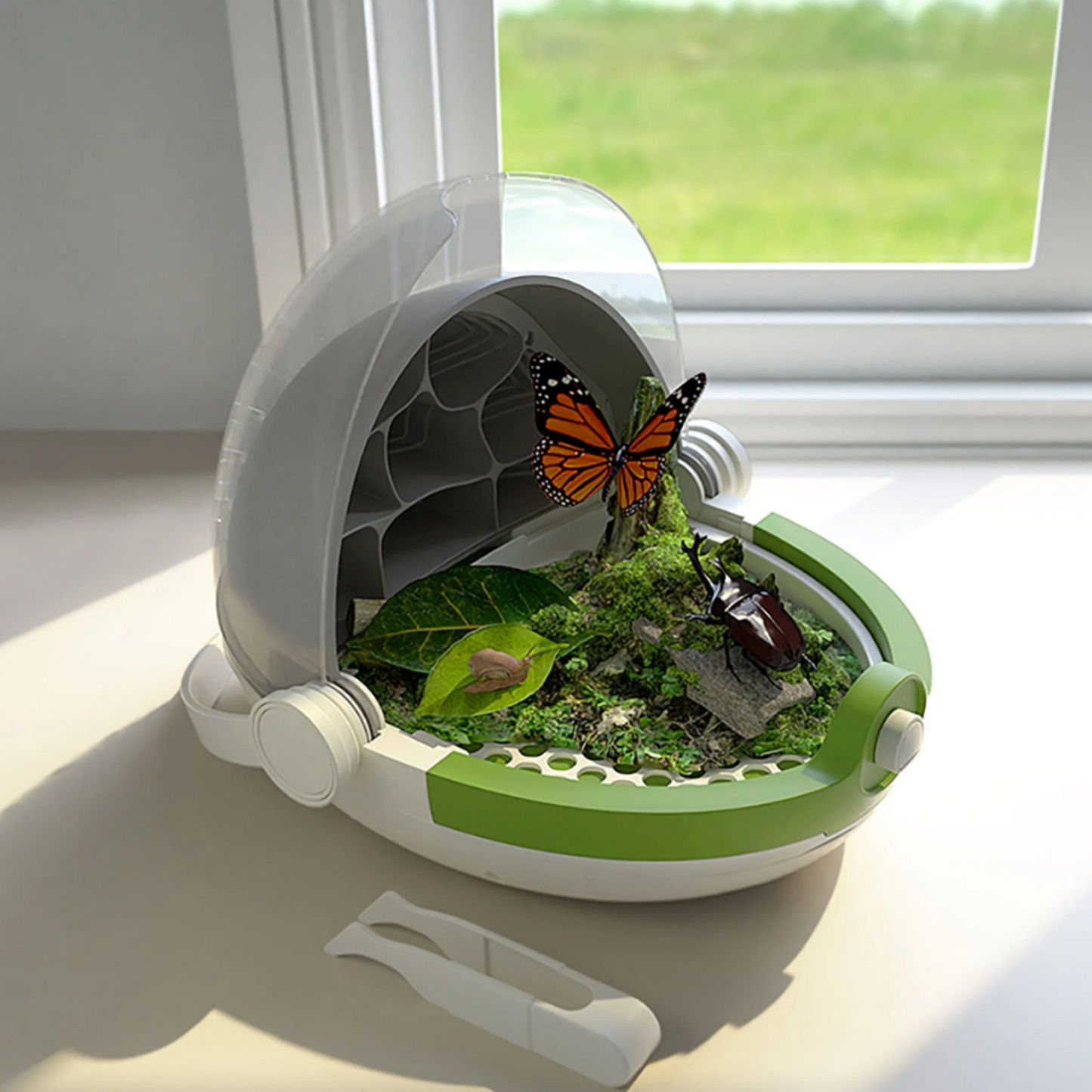 Silkworm Growth & Observation Kit for Kids