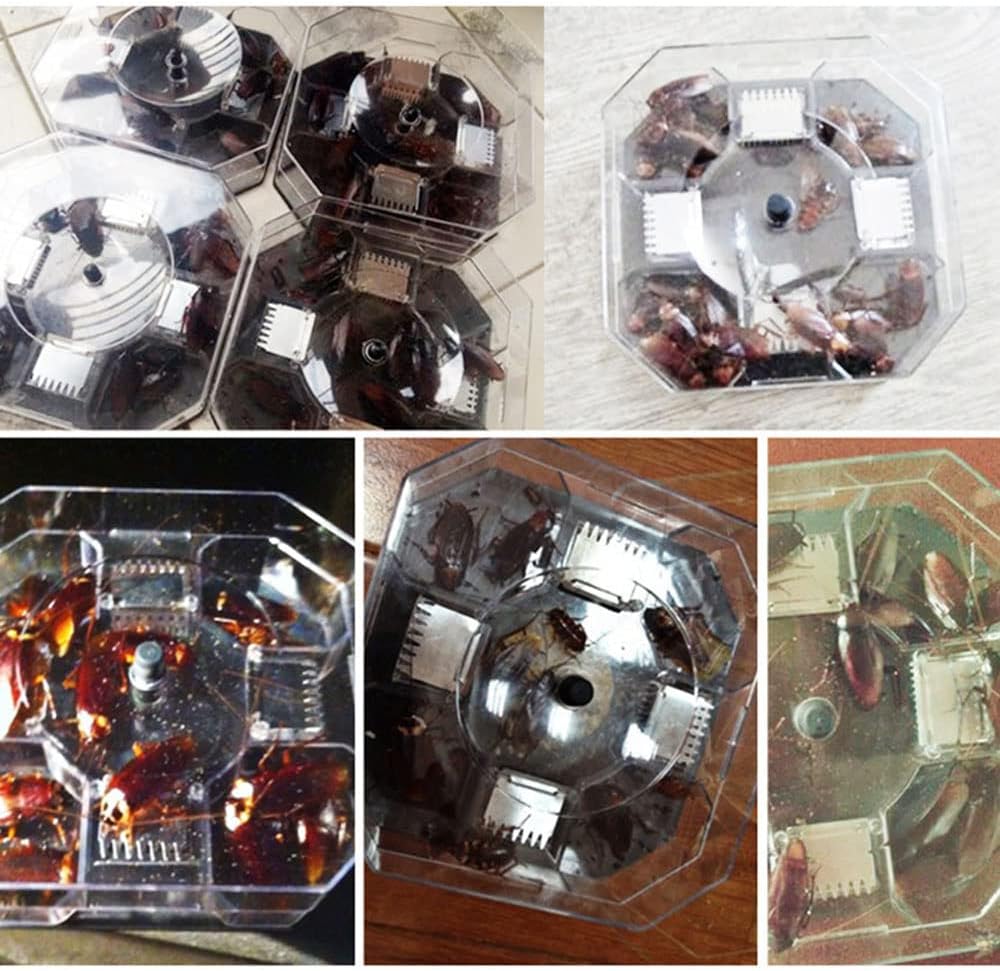 Reusable Cockroach Trap – Harmless Cockroach Catch Box for Home & Kitchen (2pcs Set)