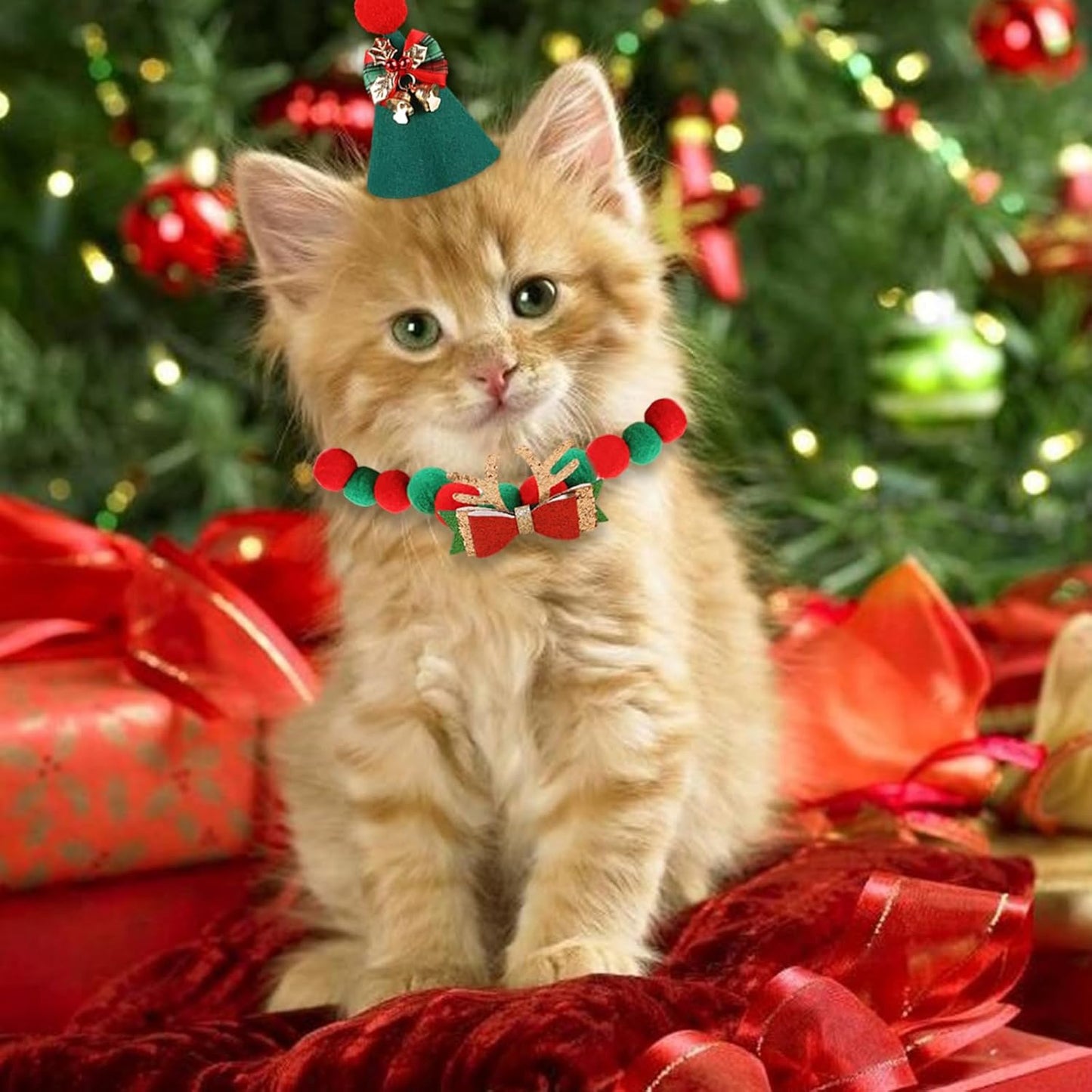 Purrfect Christmas β Cat Lovers Advent Calendar 2025
