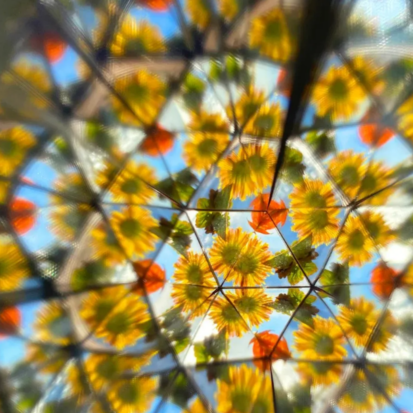 Natural Wood DIY Kaleidoscope Kids Gift