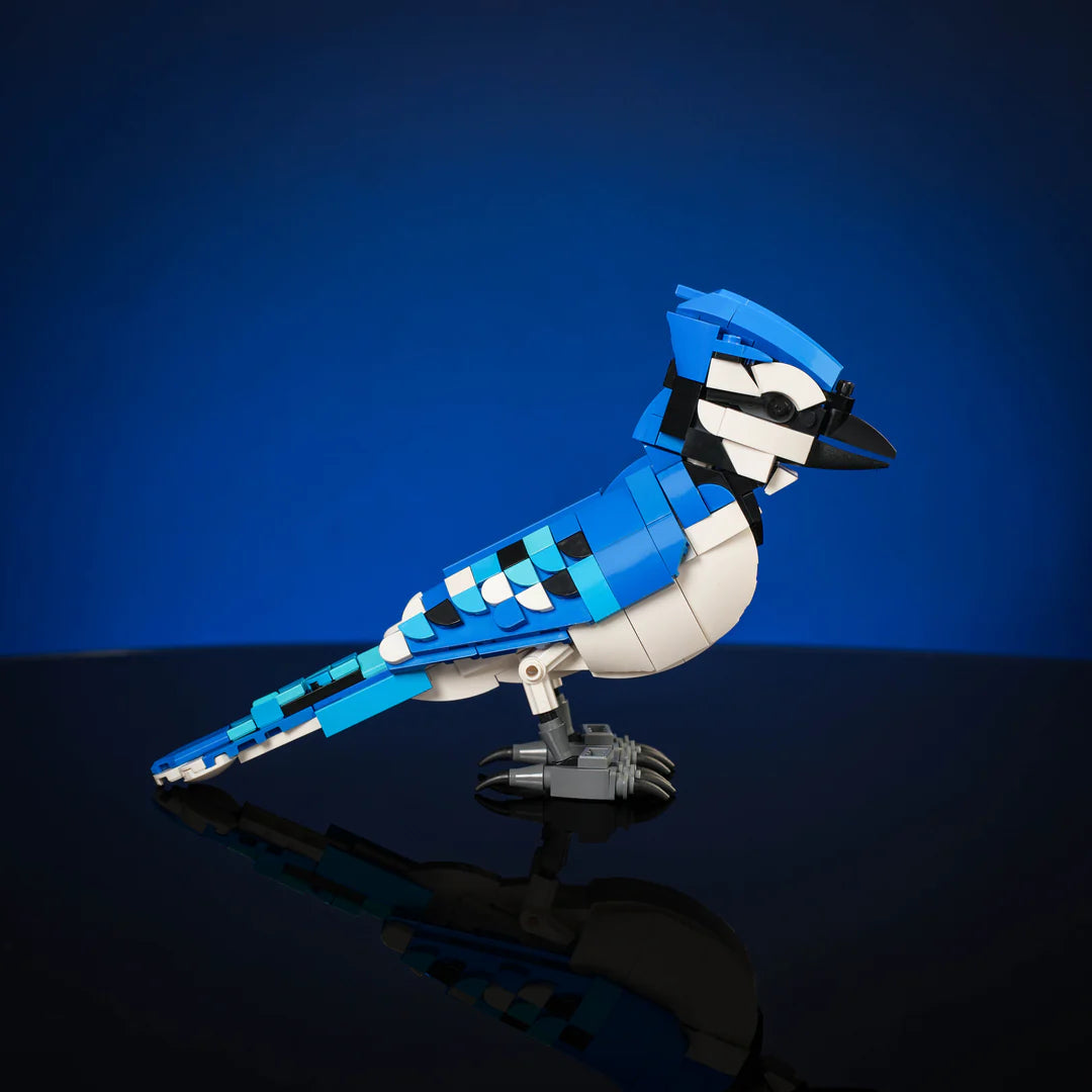 Colorful Songbird Model – A Charming Representation of Nature's Beauty