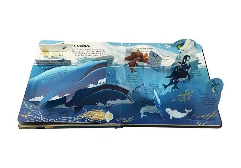 Explore Inside the Ocean – Beautifully Illustrated Educational Book | Discover Coasts, Coral Reefs & Deep-Sea Creatures