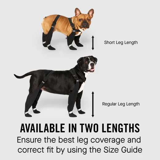Connected Dog Boots β Waterproof Paw Protection with Extended Leg Coverage