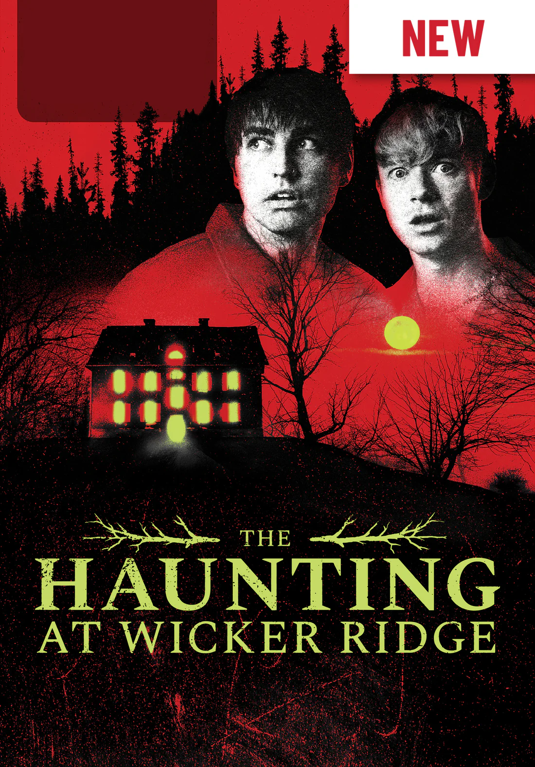 The Haunting of Wicker Ridge ā Immersive Paranormal Investigation Game