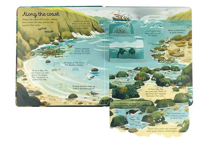 Explore Inside the Ocean – Beautifully Illustrated Educational Book | Discover Coasts, Coral Reefs & Deep-Sea Creatures