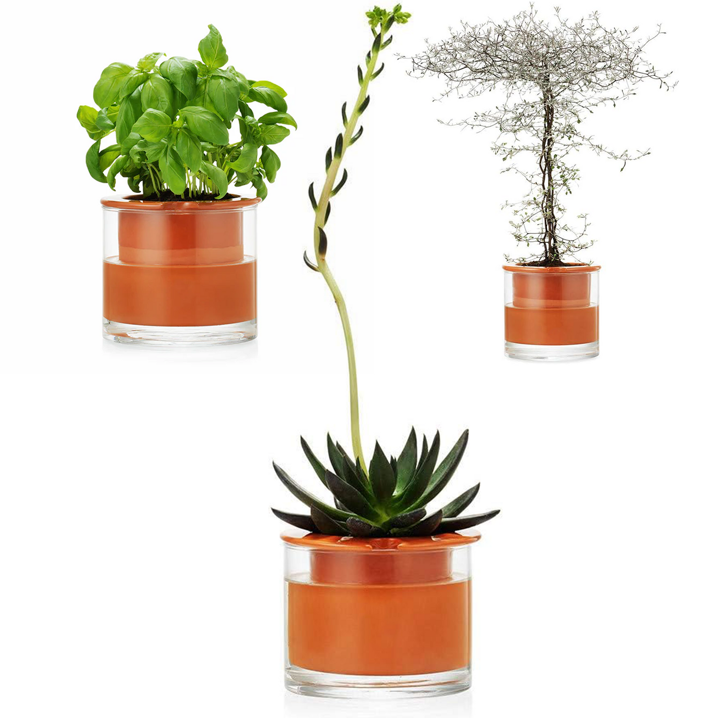 Self-Watering Wet Pots