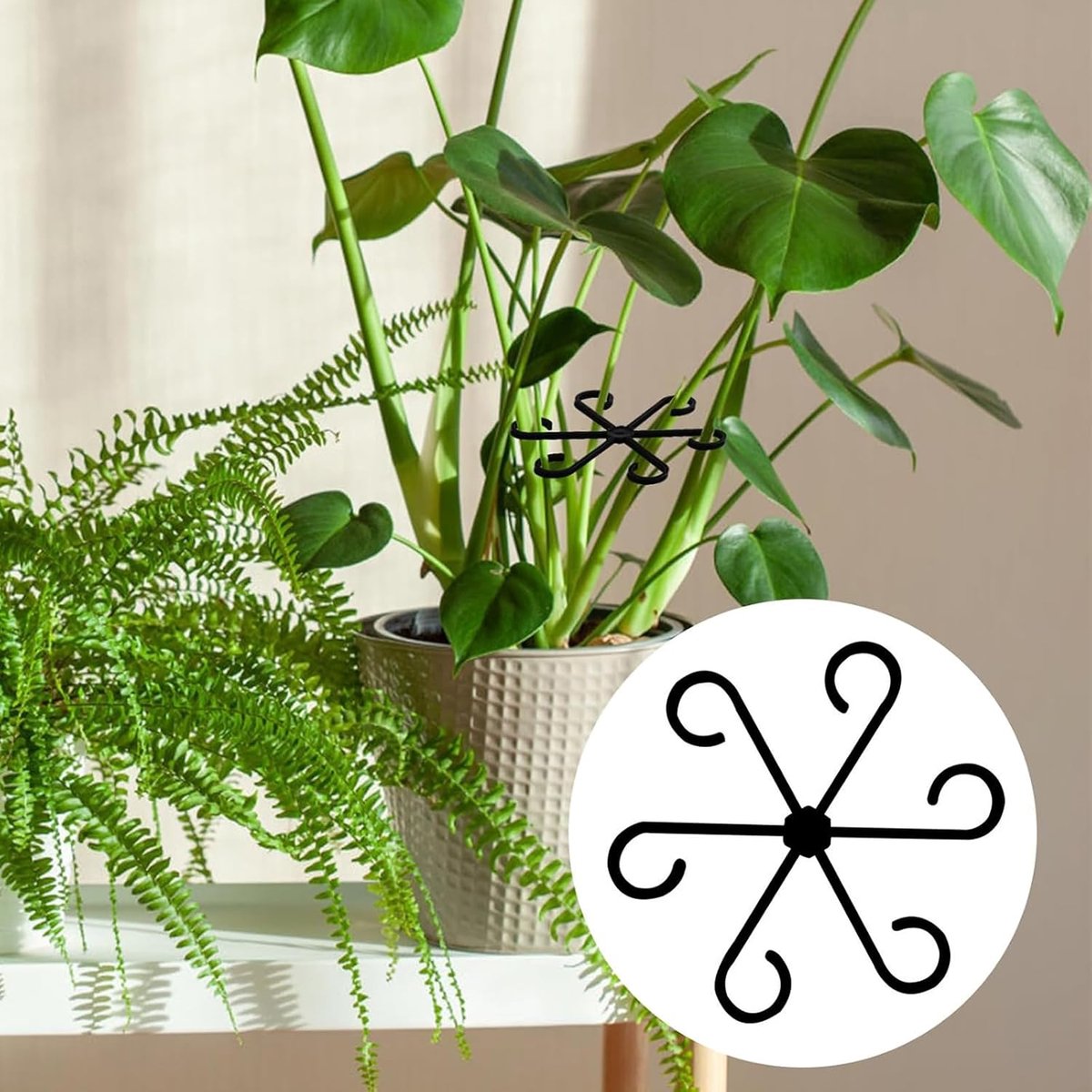 Plant Support Rings – Reusable Climbing Aid for Healthy Growth (12-Pack, Black)