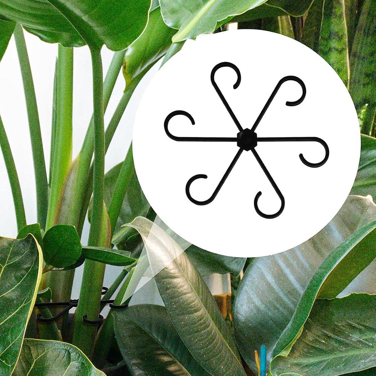 Plant Support Rings – Reusable Climbing Aid for Healthy Growth (12-Pack, Black)