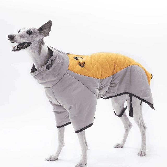 Dog Winter Coat