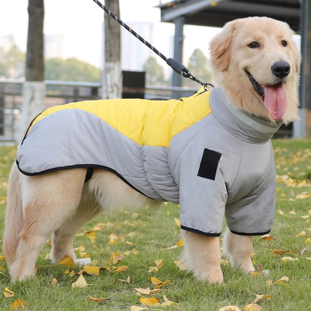 Dog Winter Coat