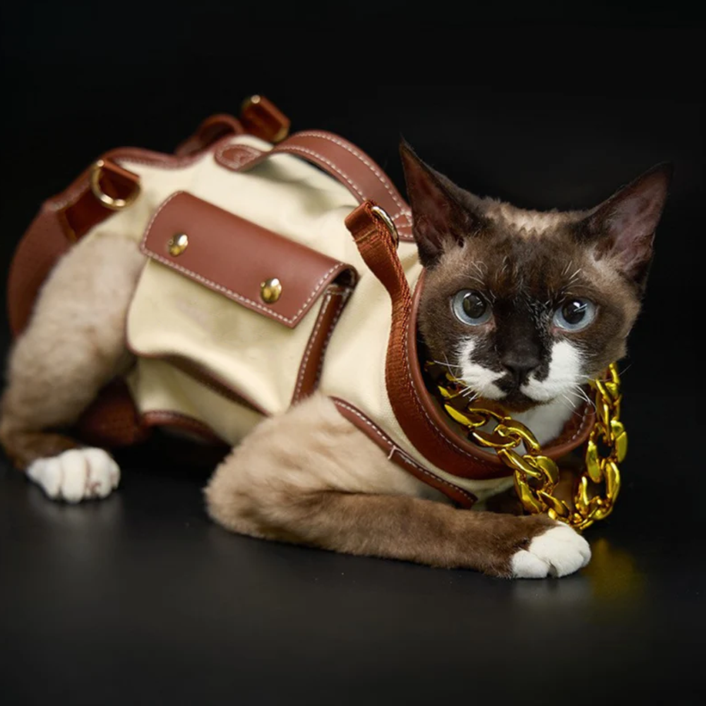 pet backpack bag