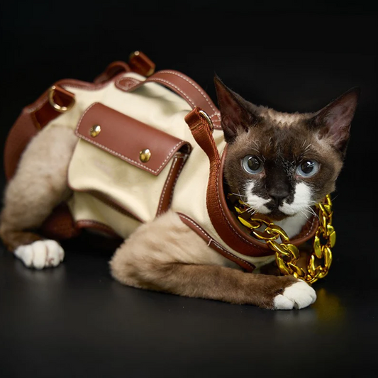 pet backpack bag