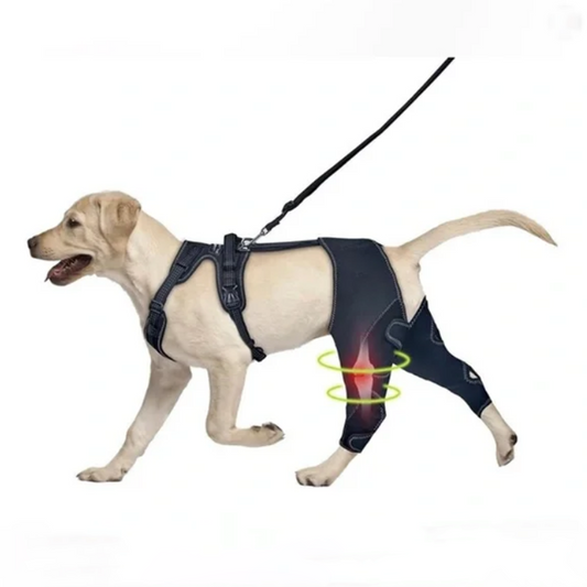 Adjustable Dog Rear Leg Wrap – Joint Support & Warmth