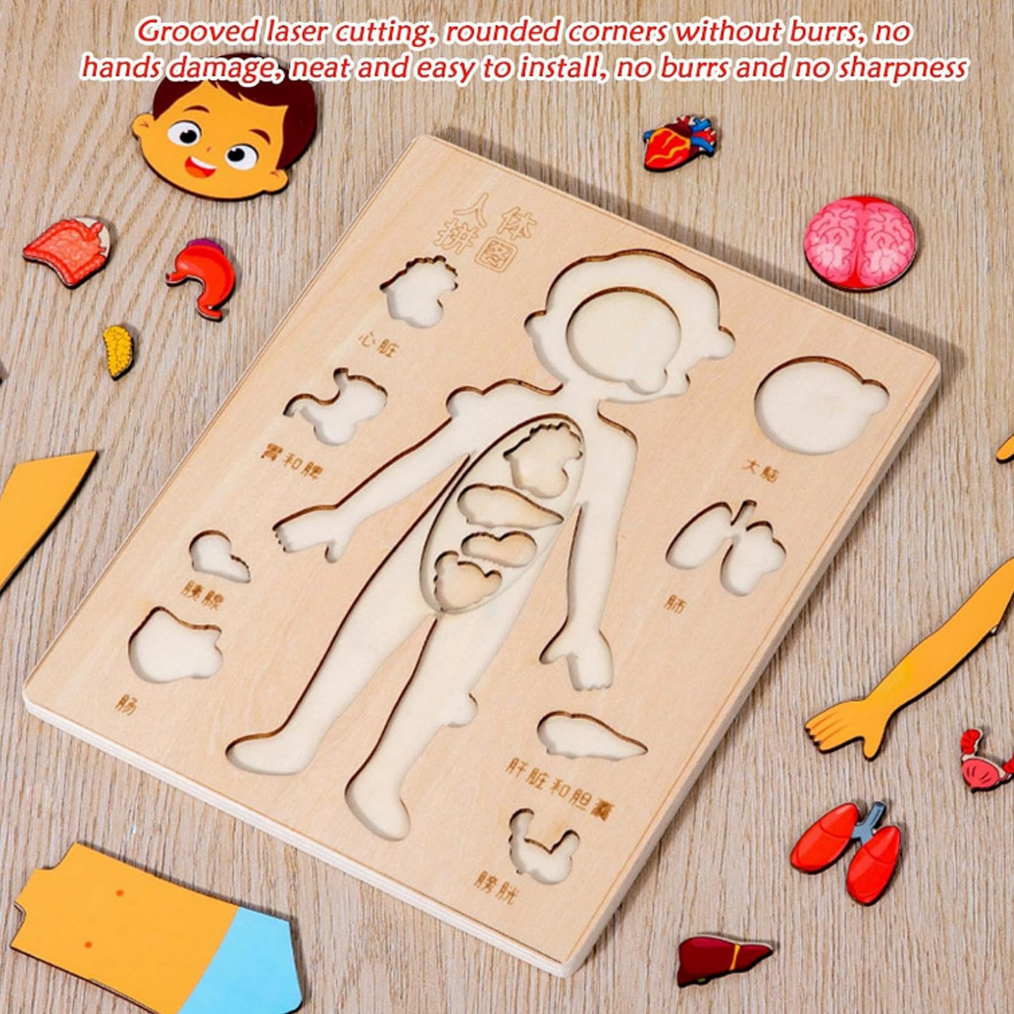 Wooden Human Body Puzzle Busy Board – Matching Game for Fine Motor Skills