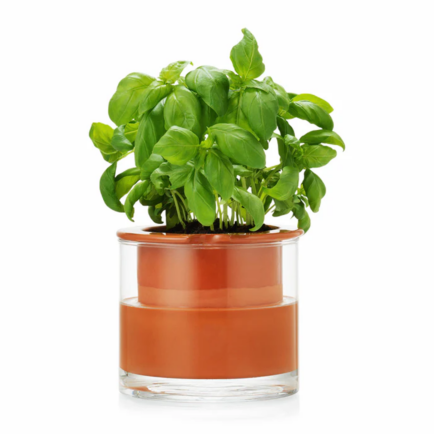 Self-Watering Wet Pots