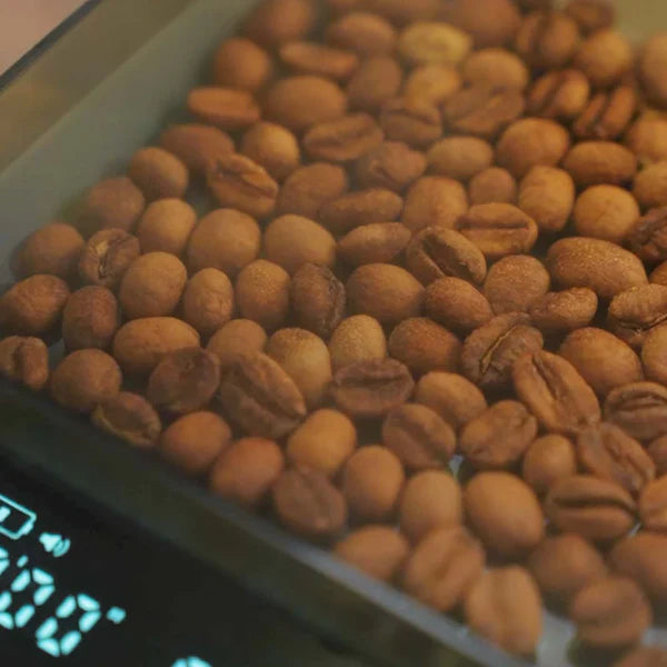 Portable Nano-Mist Coffee Bean Sprayer – Anti-Static Dust Control & Yield Maximizer for Clean Grinding