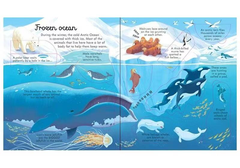 Explore Inside the Ocean – Beautifully Illustrated Educational Book | Discover Coasts, Coral Reefs & Deep-Sea Creatures