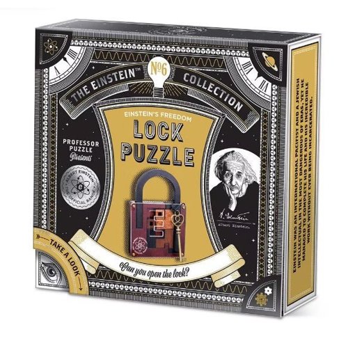 Einstein-Style Log Puzzle Lock – Unlock the Hidden Key