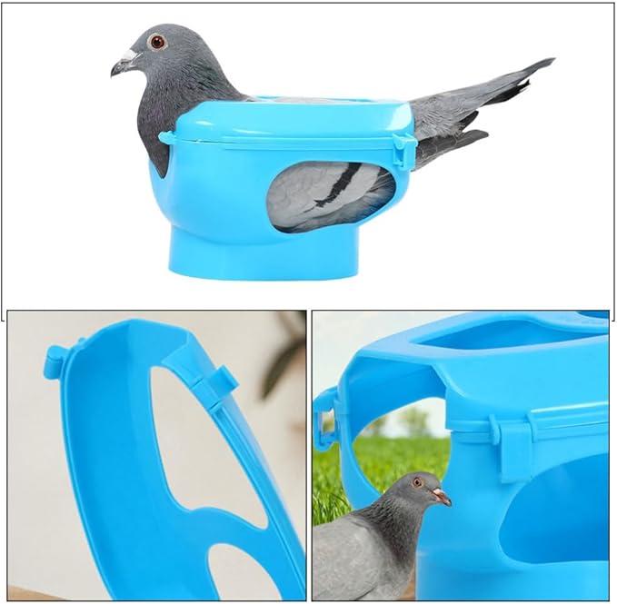 Pigeon Fixing Frame – Bird Feeder Accessory for Racing Pigeons, Carrier Pigeons & Parrots