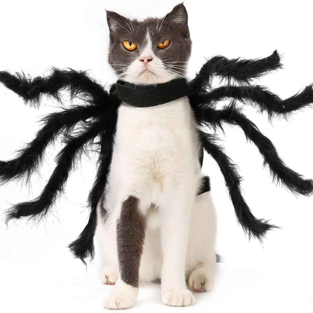 Spider Dog Costume for Halloween – Adjustable & Realistic Spider Outfit for Pets