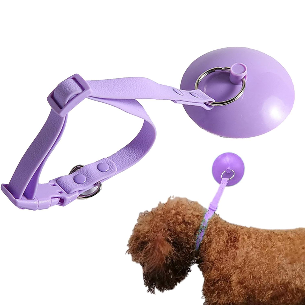 Dog Bathing Tether – Heavy-Duty Suction Cup Grooming Leash