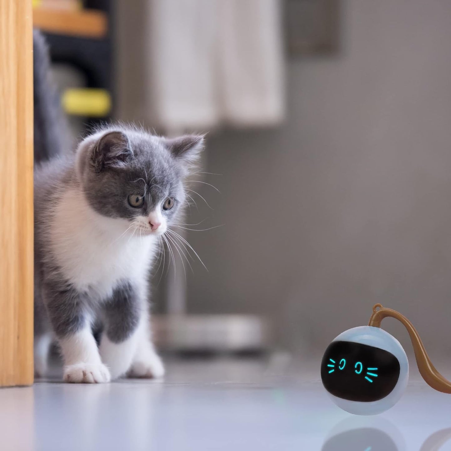 Automatic Cat Toy Ball with Play Mat – Interactive Fun for Cats