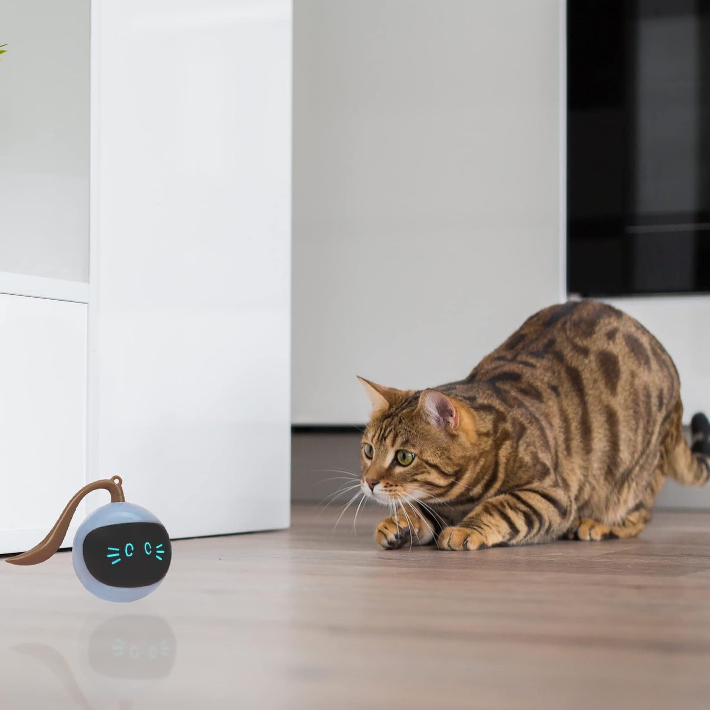 Automatic Cat Toy Ball with Play Mat – Interactive Fun for Cats