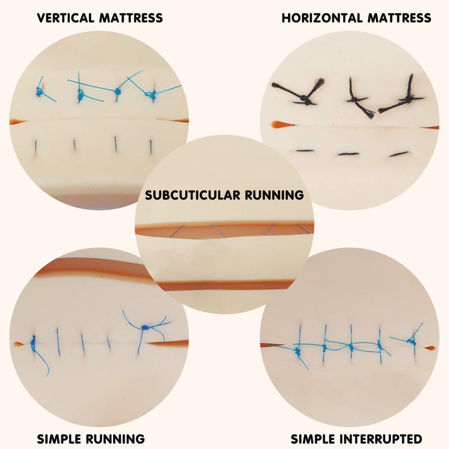 Suture Practice Kit – Realistic Training for Medical Students & Professionals