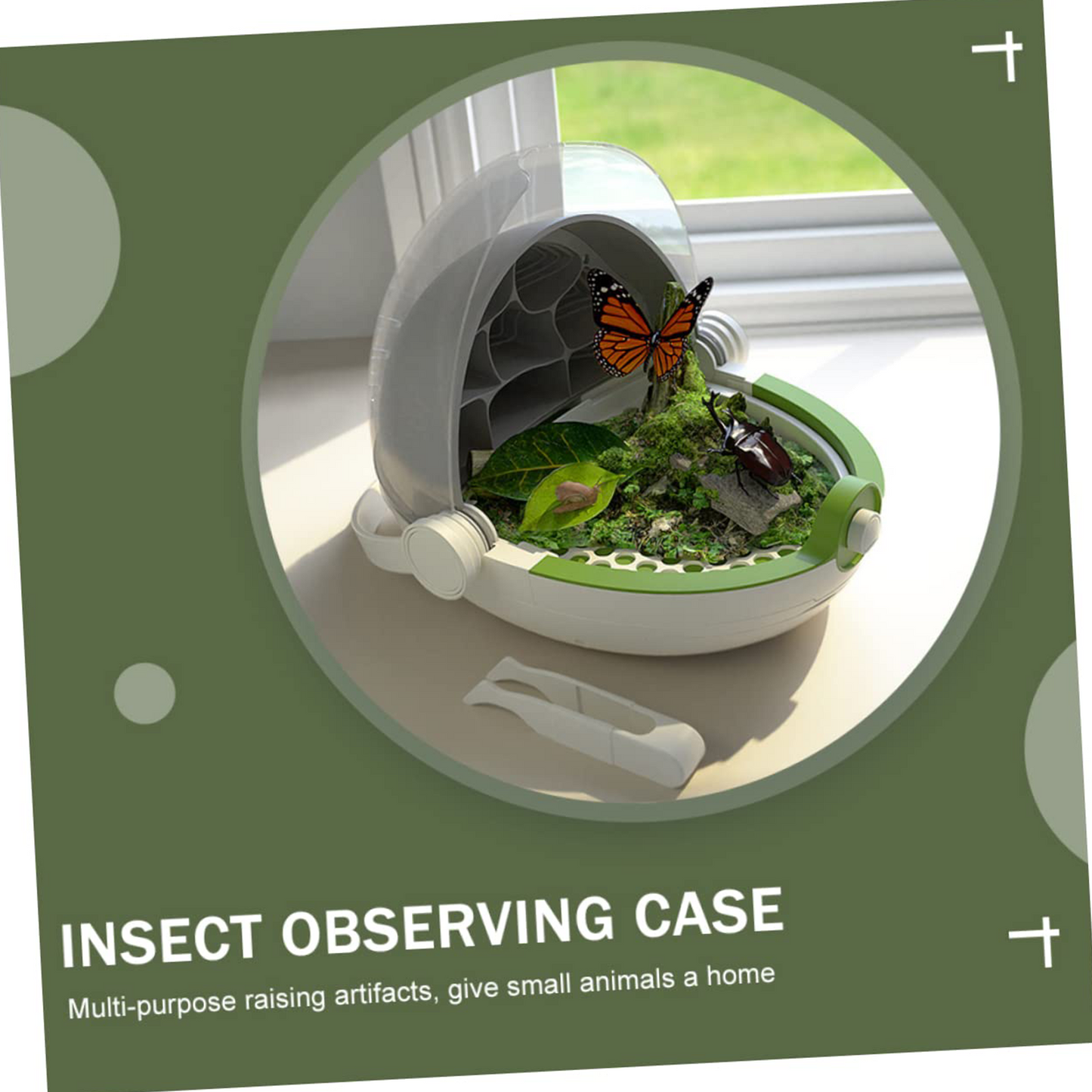 Silkworm Growth & Observation Kit for Kids