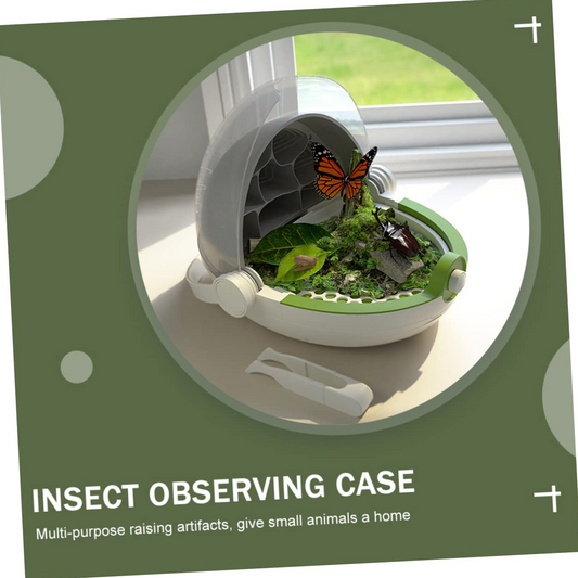 Silkworm Growth & Observation Kit for Kids