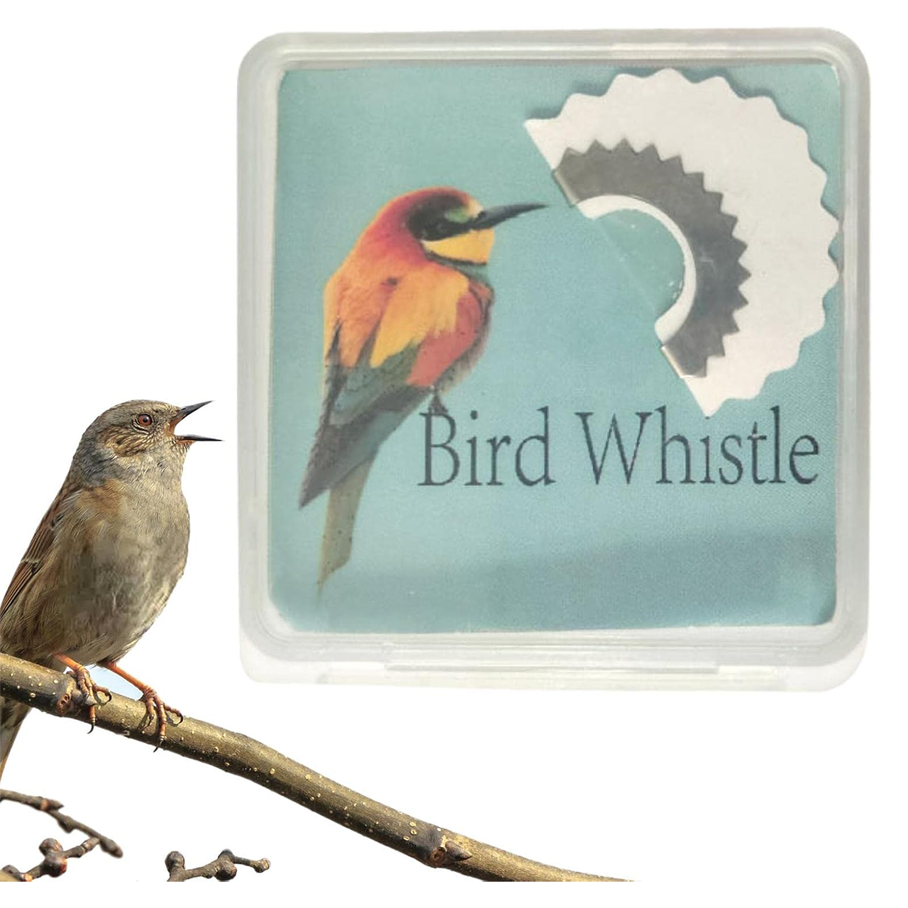Bird Whistle Trainer – 6-Piece Vocal Imitation Set