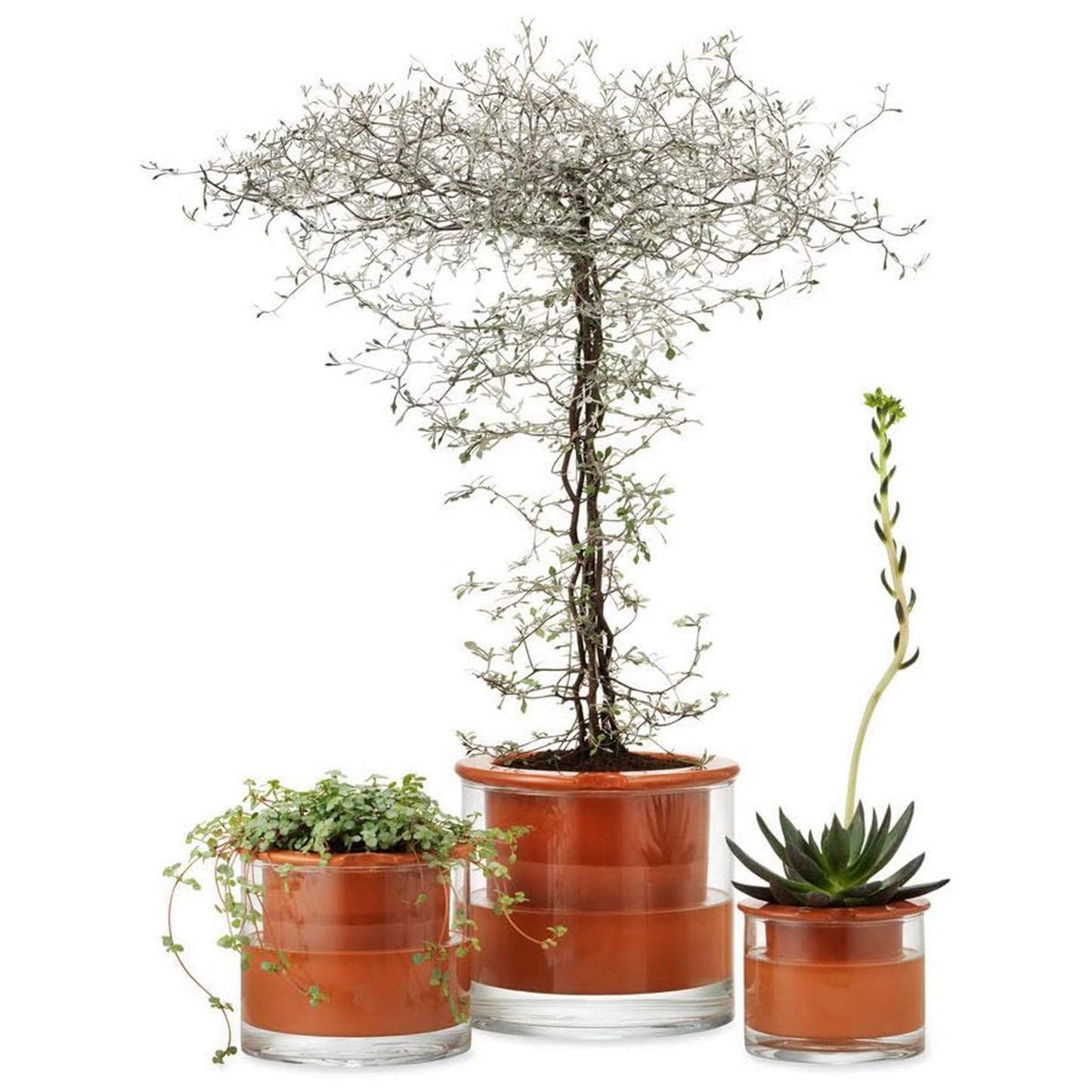 Self-Watering Wet Pots