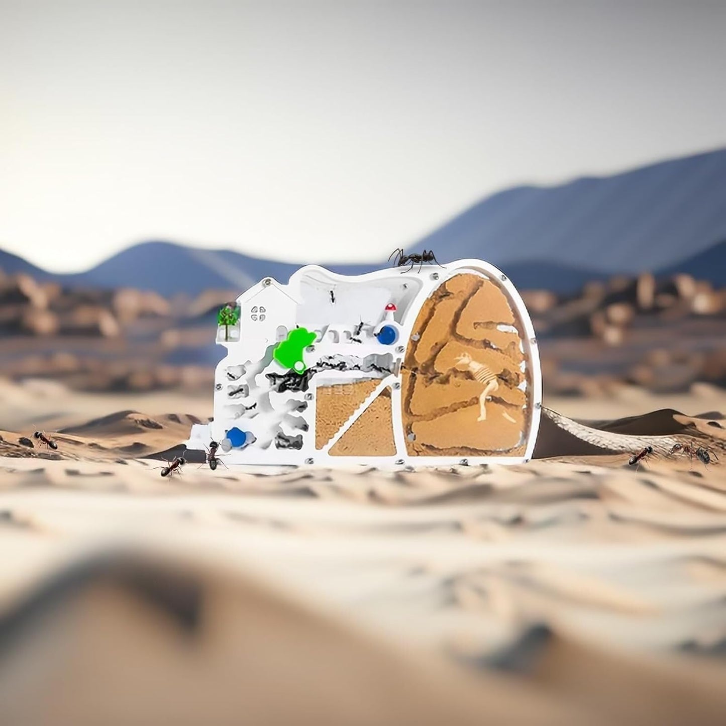 Ant Farm Castle Habitat – Educational Ant Colony Ecosystem Model