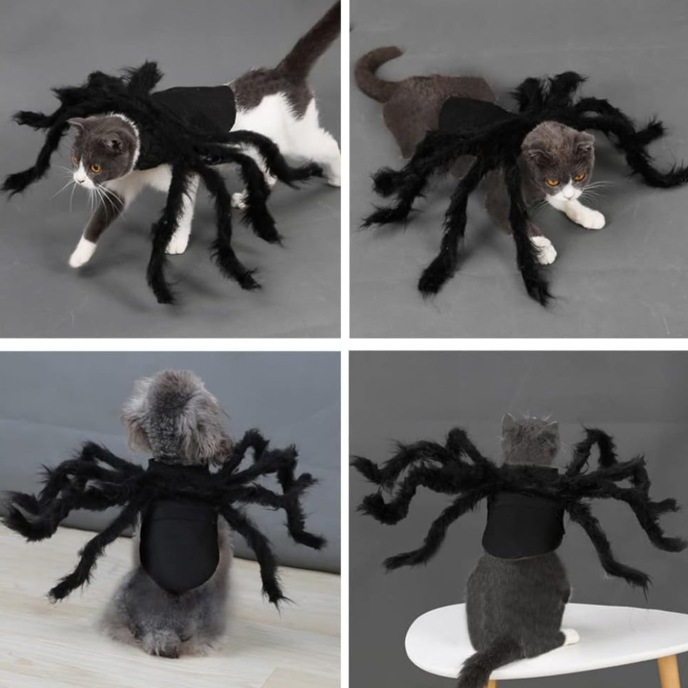 Spider Dog Costume for Halloween – Adjustable & Realistic Spider Outfit for Pets
