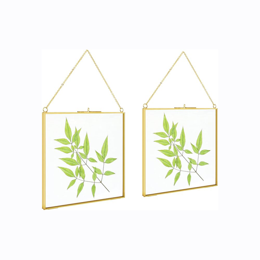 2 Pcs Hanging Glass Photo Frames – 6×6 Inch Double Glass Pressed Flower Frames