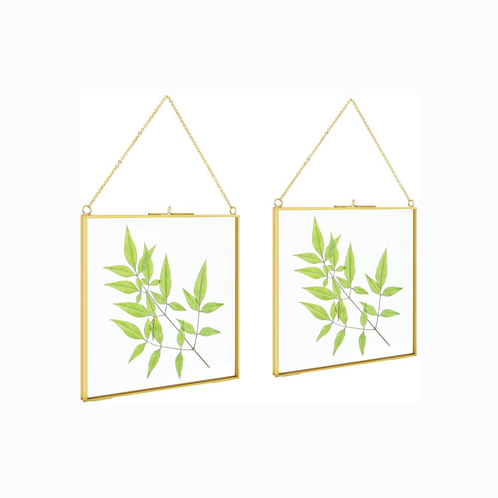 2 Pcs Hanging Glass Photo Frames – 6×6 Inch Double Glass Pressed Flower Frames