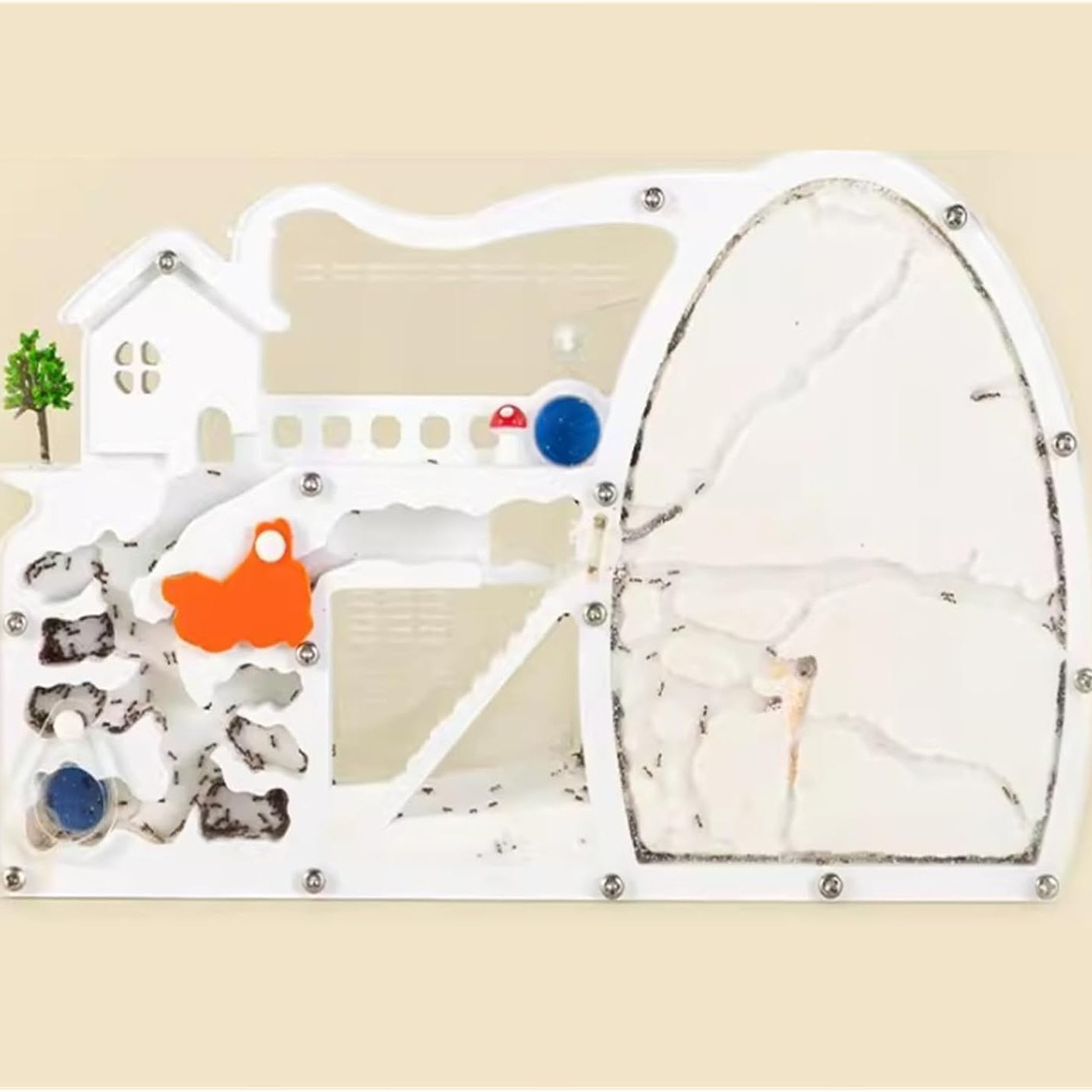Ant Farm Castle Habitat – Educational Ant Colony Ecosystem Model