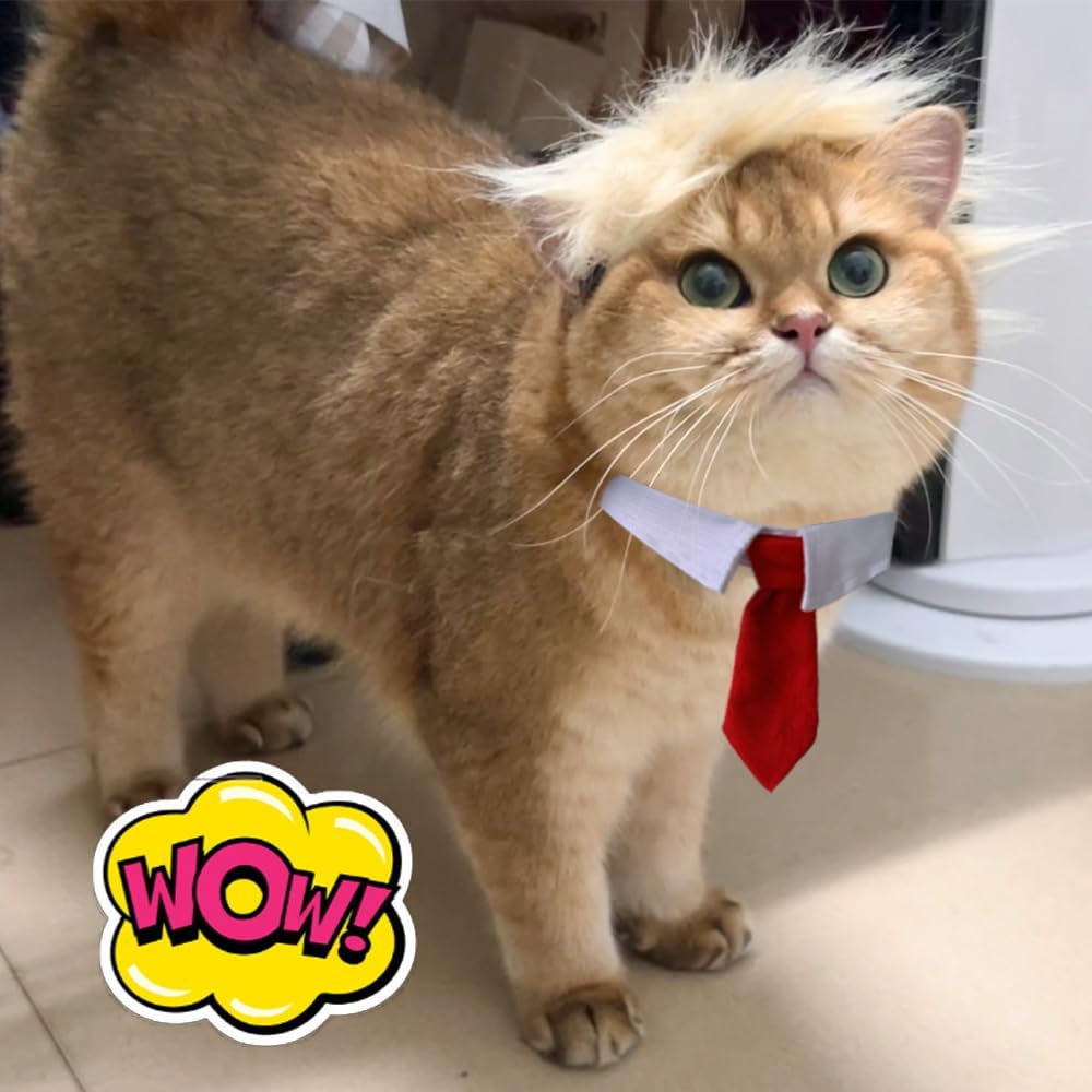 Funny Pet Wig Costume with Collar & Tie – Hilarious Dog & Cat Outfit for Halloween