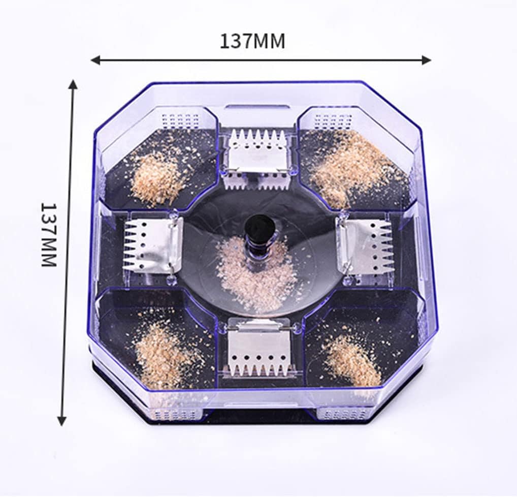Reusable Cockroach Trap – Harmless Cockroach Catch Box for Home & Kitchen (2pcs Set)