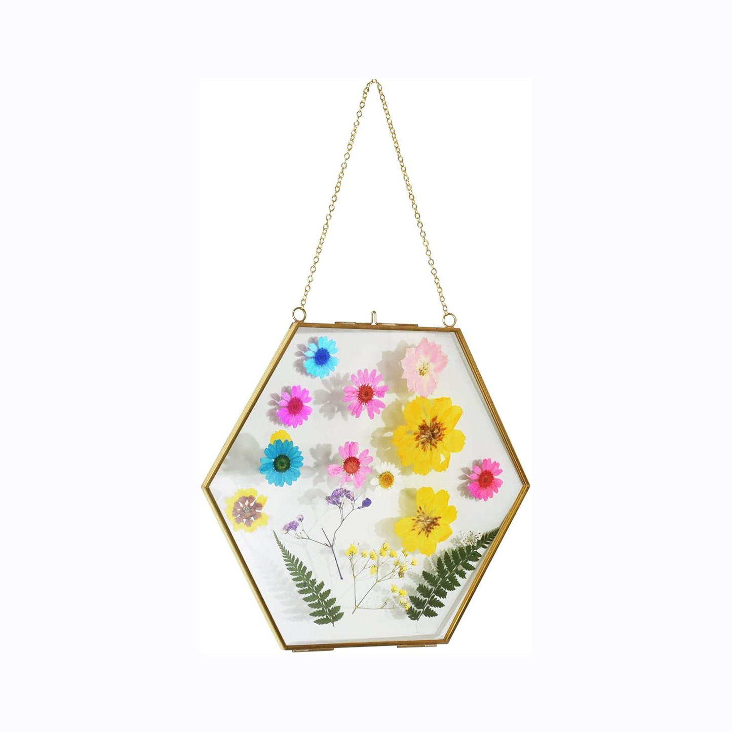 2 Pcs Hanging Glass Photo Frames – 6×6 Inch Double Glass Pressed Flower Frames