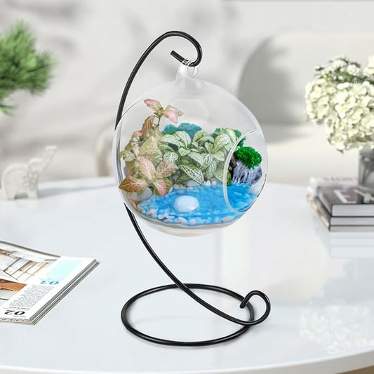 Air Plant Glass Container Set – Hanging Glass Vase | Black Metal Stand, Minimalist & Elegant, Ideal for Air Plants and Succulents