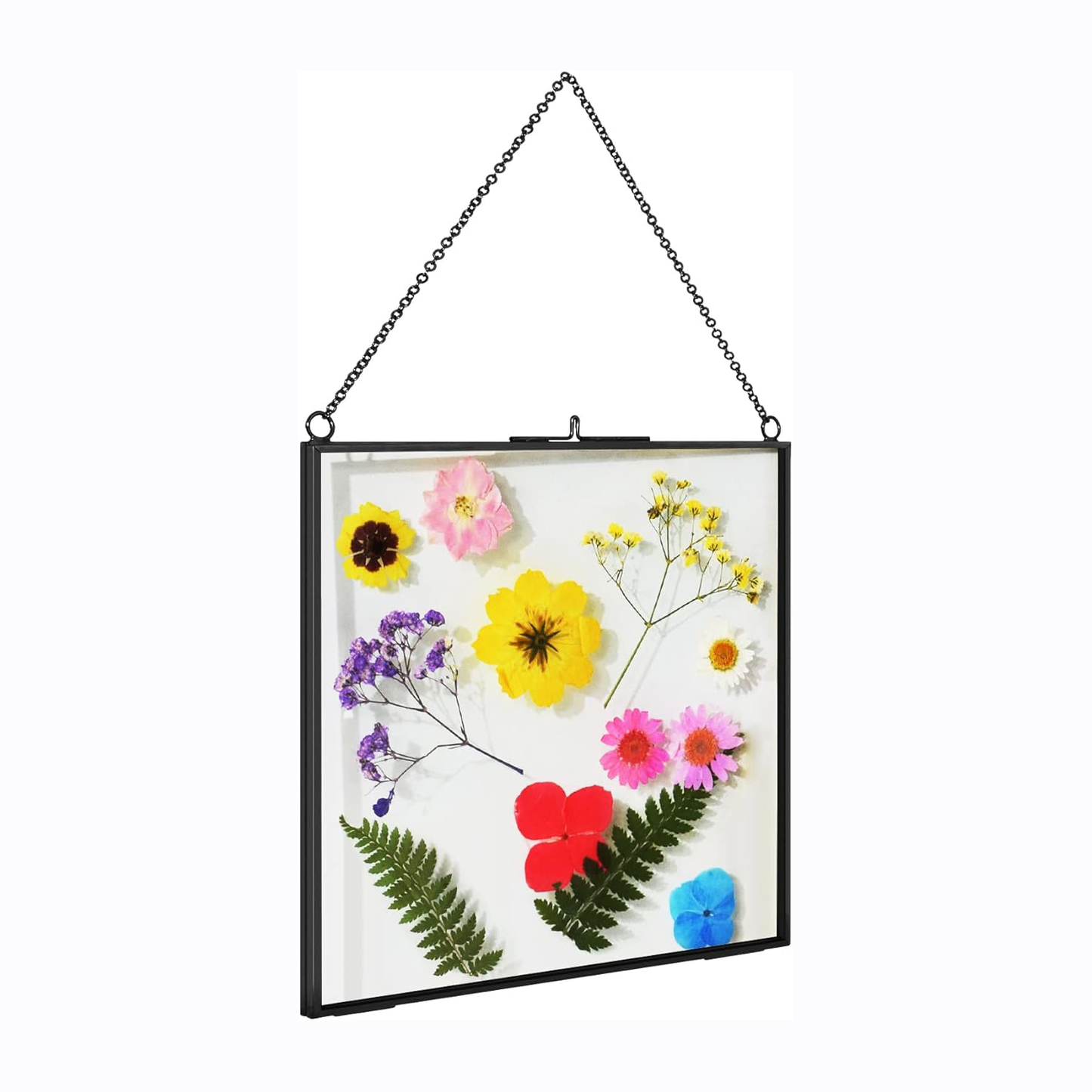 2 Pcs Hanging Glass Photo Frames – 6×6 Inch Double Glass Pressed Flower Frames