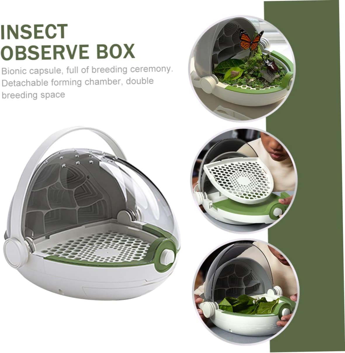 Silkworm Growth & Observation Kit for Kids