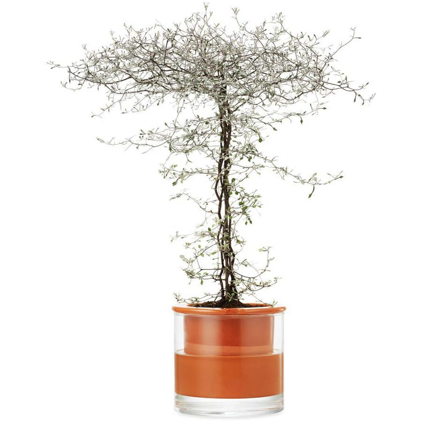 Self-Watering Wet Pots