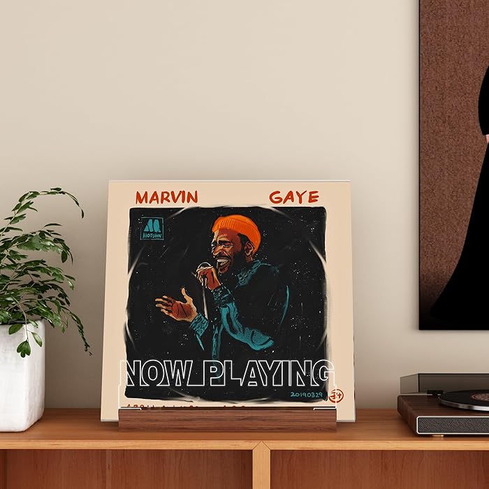 Glowing Vinyl Record Display Stand |LED Light Album Display Stand