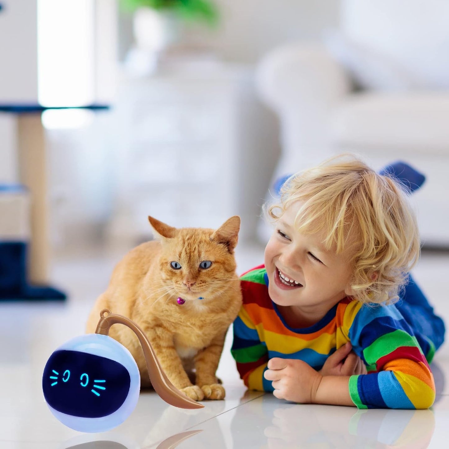 Automatic Cat Toy Ball with Play Mat – Interactive Fun for Cats