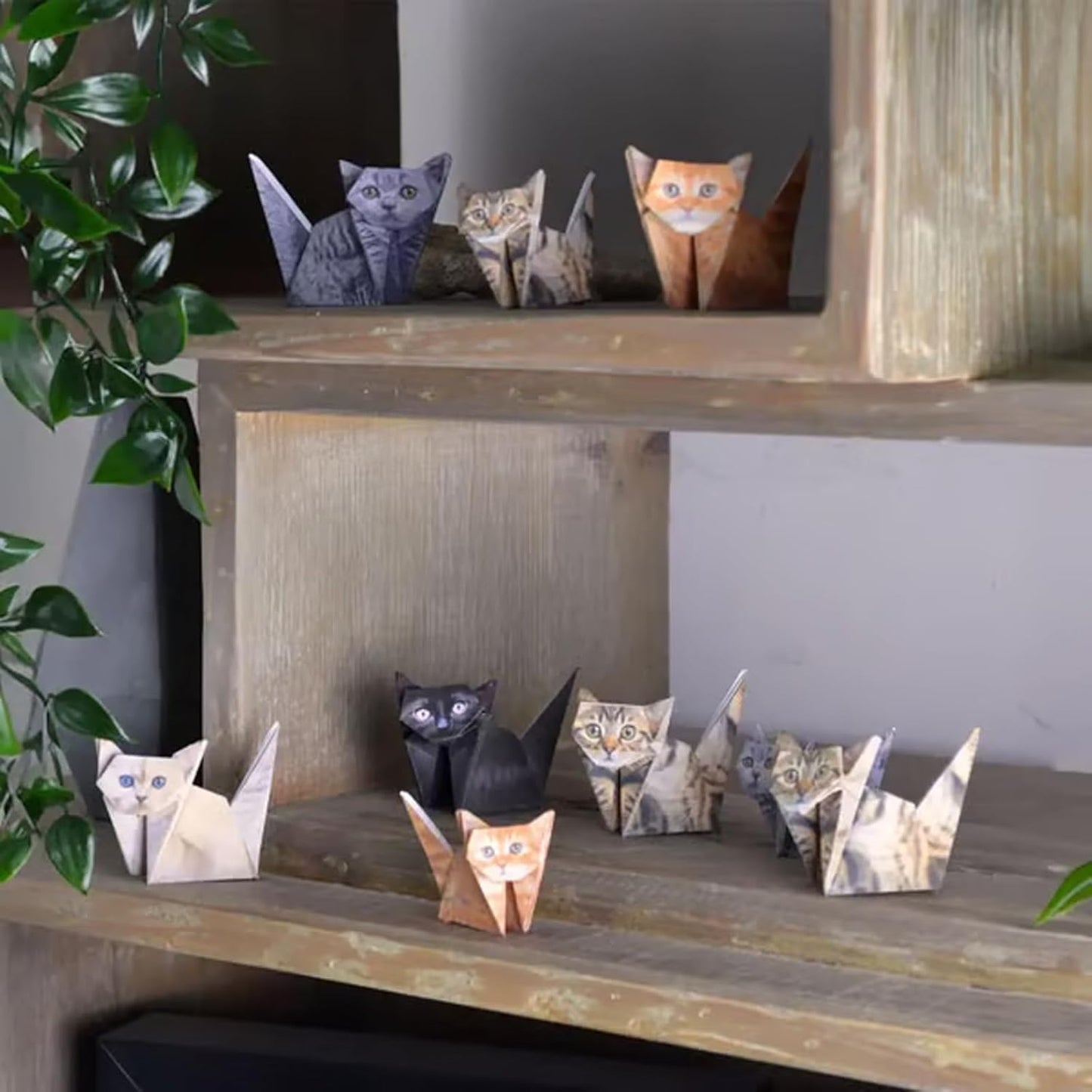 DIY Paper Cat - 50 Sheets of DIY Foldable Cute Cat Designs for Fun Craft Activities