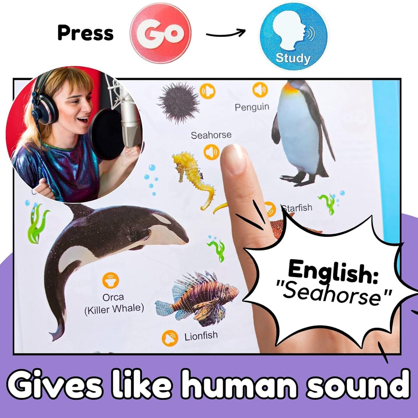 English Learning Talking Book – 300+ Words, 13 Themes, Interactive Audio for Kids