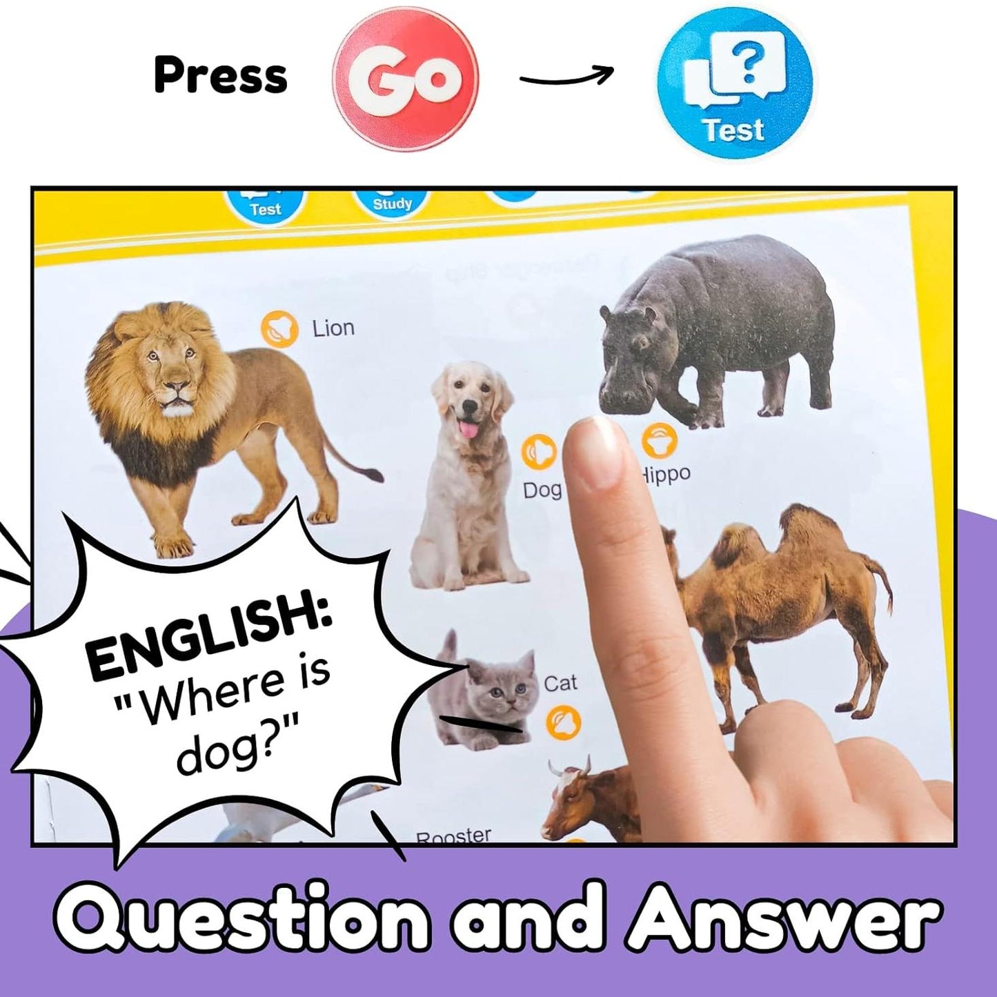 English Learning Talking Book – 300+ Words, 13 Themes, Interactive Audio for Kids