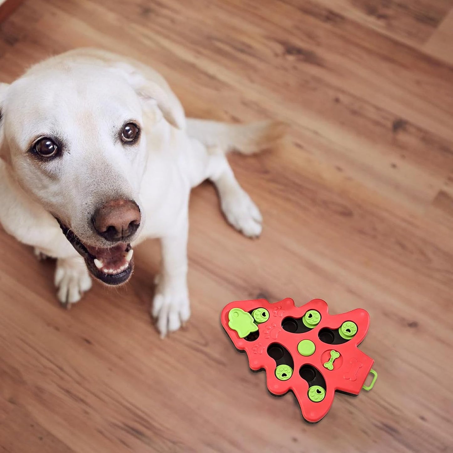 Pet Slow Feeder Bowl – Anti-Choking, Non-Toxic, Healthy Feeding for Dogs